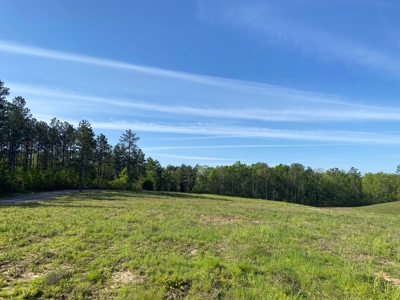 Land For Sale In Tn, 26 Acres+/-, Open Land - image 29