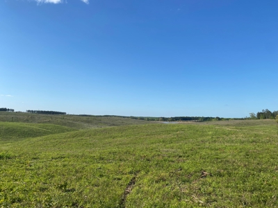 Land For Sale In Tn, 26 Acres+/-, Open Land - image 12