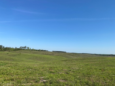 Land For Sale In Tn, 26 Acres+/-, Open Land - image 31