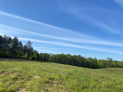 Land For Sale In Tn, 26 Acres+/-, Open Land - image 26