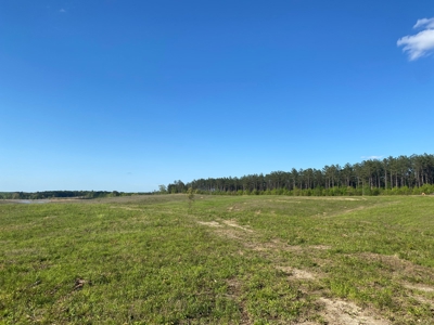 Land For Sale In Tn, 26 Acres+/-, Open Land - image 13