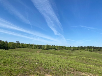 Land For Sale In Tn, 26 Acres+/-, Open Land - image 25