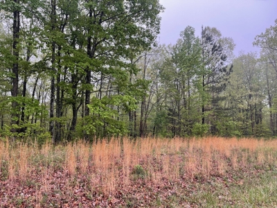 Land For Sale in Belvidere, Tennessee - image 2