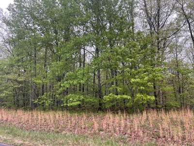 Land For Sale in Belvidere, Tennessee - image 3