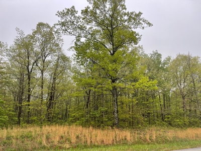 Land For Sale in Belvidere, Tennessee - image 1