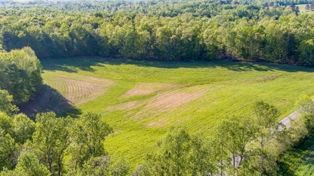 Absolute Auction - Online Only - Acreage in Clinton County - image 1