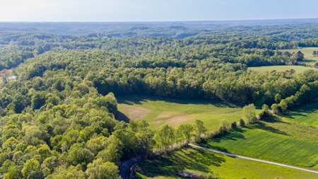 Absolute Auction - Online Only - Acreage in Clinton County - image 3