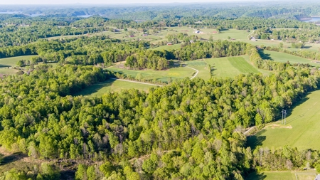 Absolute Auction - Online Only - Acreage in Clinton County - image 10