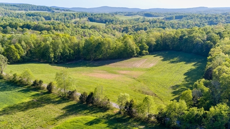 Absolute Auction - Online Only - Acreage in Clinton County - image 2