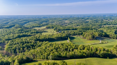 Absolute Auction - Online Only - Acreage in Clinton County - image 12
