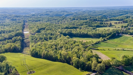Absolute Auction - Online Only - Acreage in Clinton County - image 5