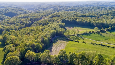 Absolute Auction - Online Only - Acreage in Clinton County - image 16