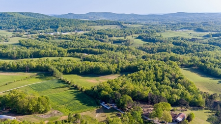 Absolute Auction - Online Only - Acreage in Clinton County - image 7