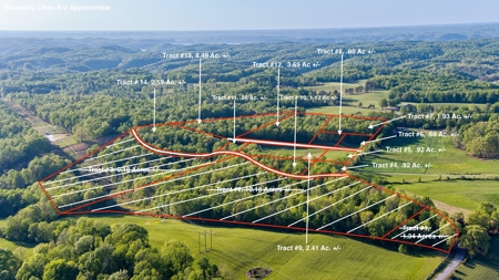 Absolute Auction - Online Only - Acreage in Clinton County - image 19