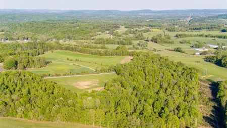 Absolute Auction - Online Only - Acreage in Clinton County - image 11