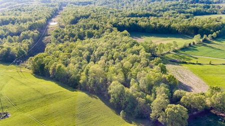 Absolute Auction - Online Only - Acreage in Clinton County - image 14