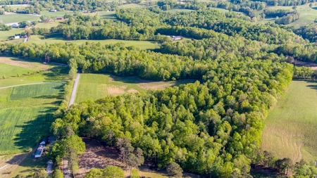 Absolute Auction - Online Only - Acreage in Clinton County - image 8