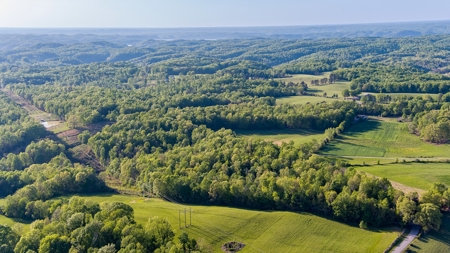 Absolute Auction - Online Only - Acreage in Clinton County - image 13
