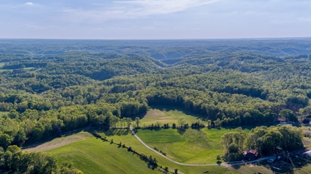 Absolute Auction - Online Only - Acreage in Clinton County - image 6