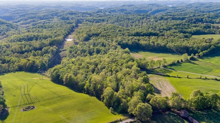 Absolute Auction - Online Only - Acreage in Clinton County - image 4