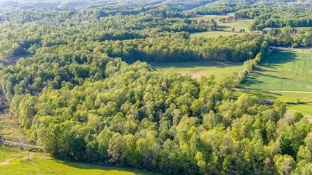 Absolute Auction - Online Only - Acreage in Clinton County - image 15