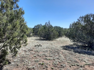 Northern AZ off grid recreational property - image 11