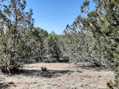 Northern AZ off grid recreational property - image 7