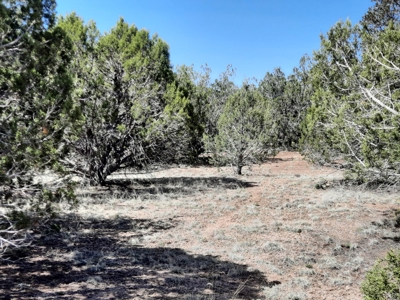 Northern AZ off grid recreational property - image 9