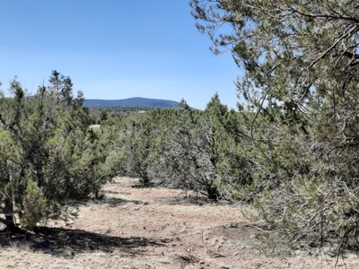 Northern AZ off grid recreational property - image 5