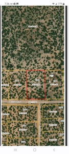 Northern AZ off grid recreational property - image 12