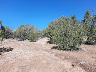 Northern AZ off grid recreational property - image 3