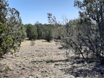 Northern AZ off grid recreational property - image 6