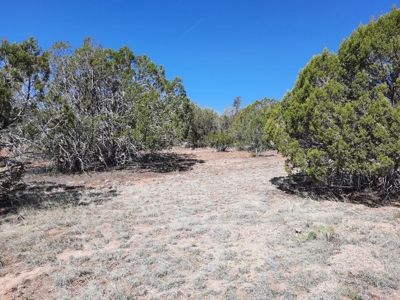 Northern AZ off grid recreational property - image 10