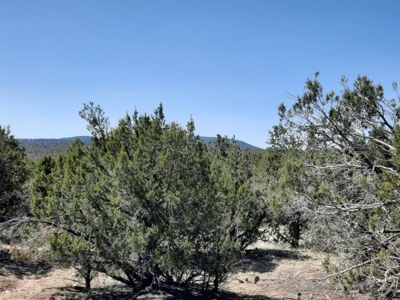 Northern AZ off grid recreational property - image 8