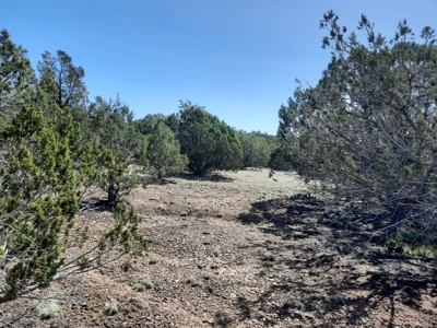 Northern AZ off grid recreational property - image 4