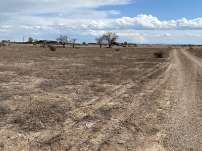 5 Acres in Torrance County For Sale with Mountain Views! - image 4