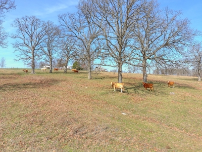 Beautiful Build Tract Located Less Than 1 Mile From The Lake - image 4