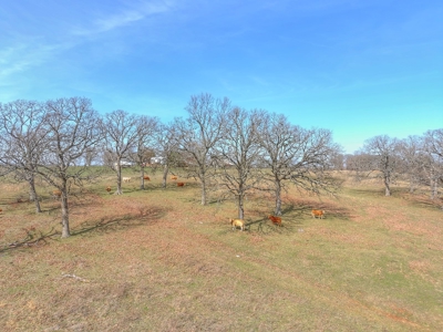 Beautiful Build Tract Located Less Than 1 Mile From The Lake - image 3