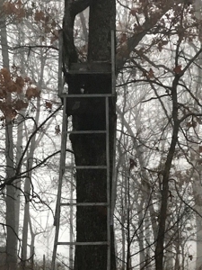 Ozarks Hobby Farm Near Salem Arkansas - image 29