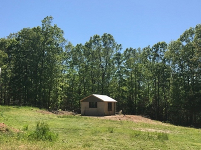 Ozarks Hobby Farm Near Salem Arkansas - image 41