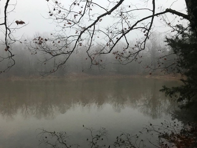 Ozarks Hobby Farm Near Salem Arkansas - image 32