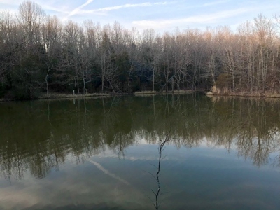 Ozarks Hobby Farm Near Salem Arkansas - image 36