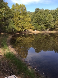 Ozarks Hobby Farm Near Salem Arkansas - image 35