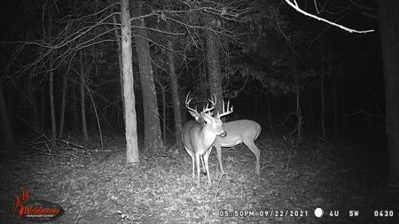 Ozarks Hobby Farm Near Salem Arkansas - image 27