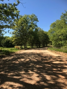 Ozarks Hobby Farm Near Salem Arkansas - image 38