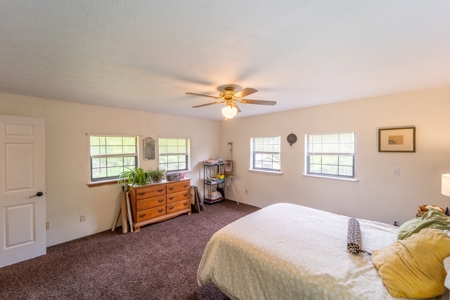 Ozarks Hobby Farm Near Salem Arkansas - image 10