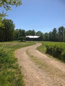 Ozarks Hobby Farm Near Salem Arkansas - image 37