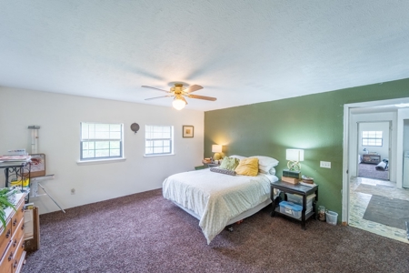 Ozarks Hobby Farm Near Salem Arkansas - image 8