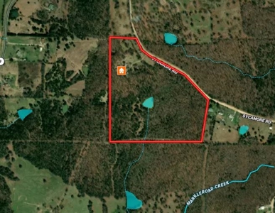 Ozarks Hobby Farm Near Salem Arkansas - image 21