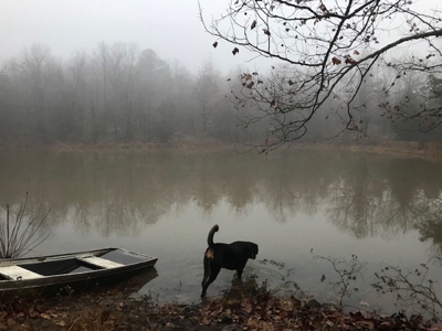 Ozarks Hobby Farm Near Salem Arkansas - image 33